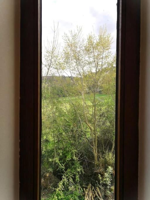 La Sittelle Des Aguesses Apartment Andenne Exterior foto